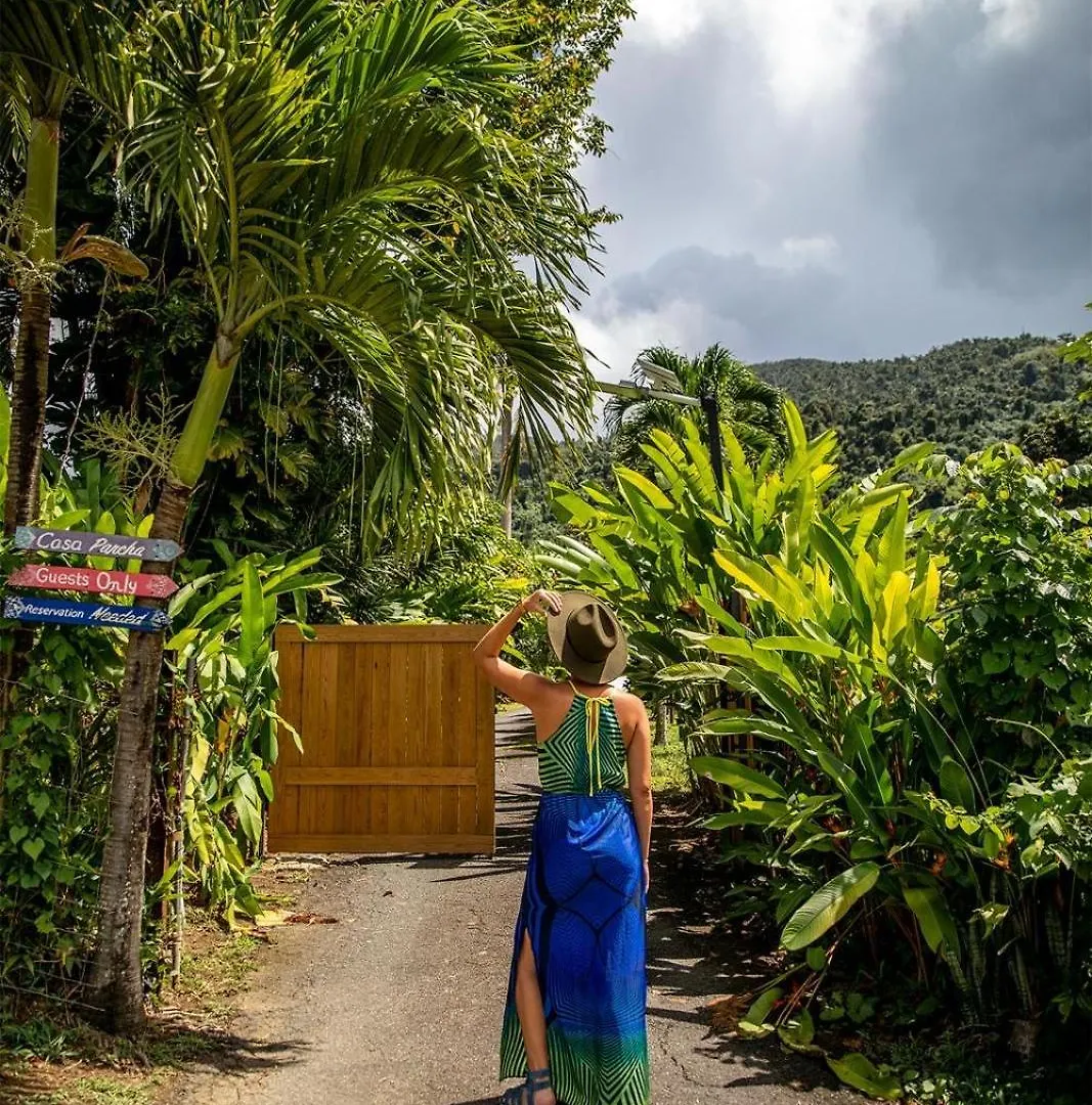 El Yunque Glamping River View At Casa Parcha Naguabo Puerto Rico