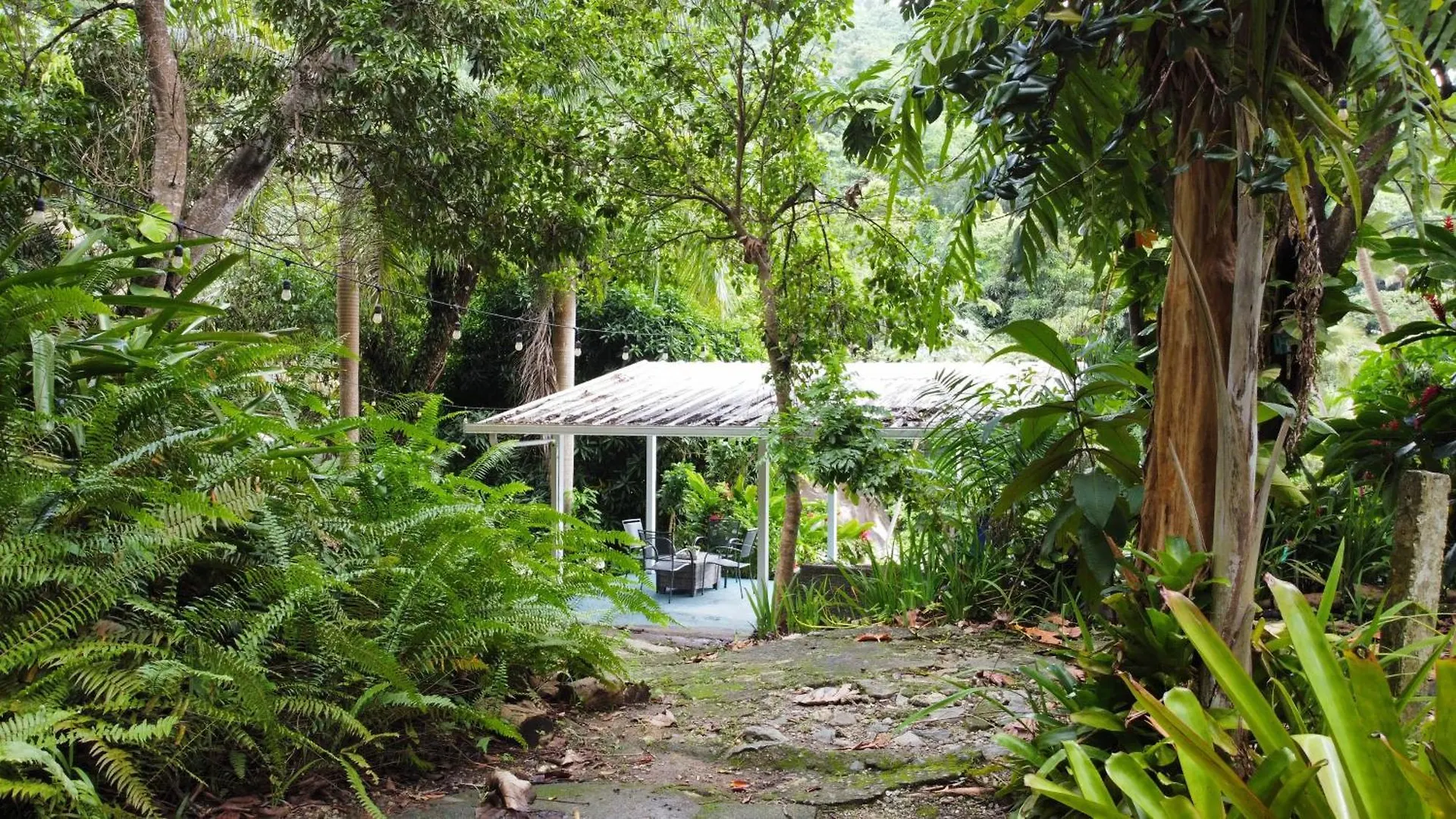 Luxury tent El Yunque Glamping River View At Casa Parcha Naguabo